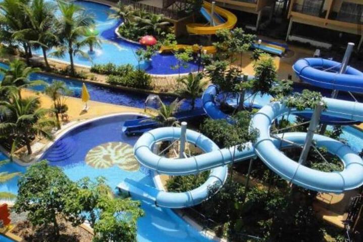 Marose Gold Coast Morib