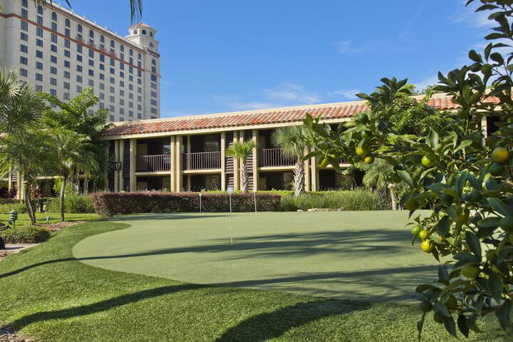 Mini-golf