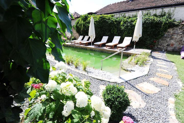 Pool 19 of 27