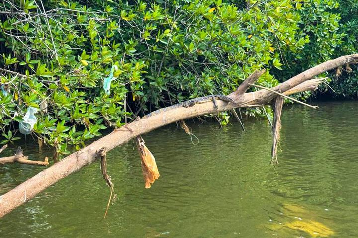 General 74 of 100
