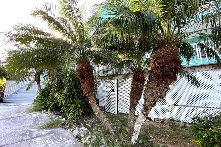 Hotel Exterior 224 of 232