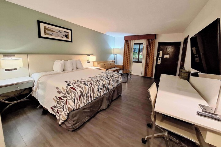 1 King Bed (9 of 19)