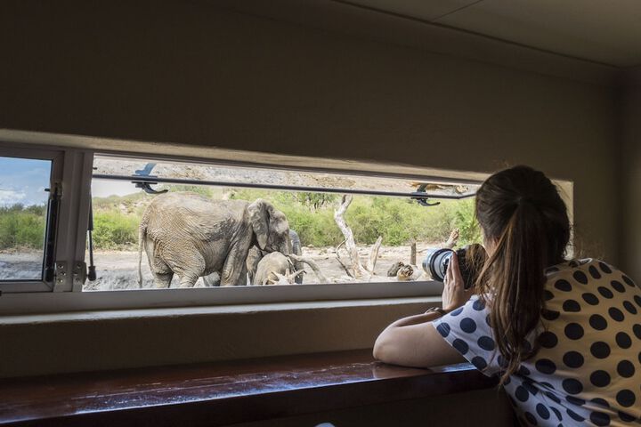Game viewing