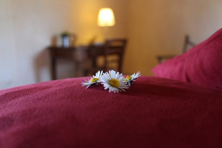 Room 13 of 110