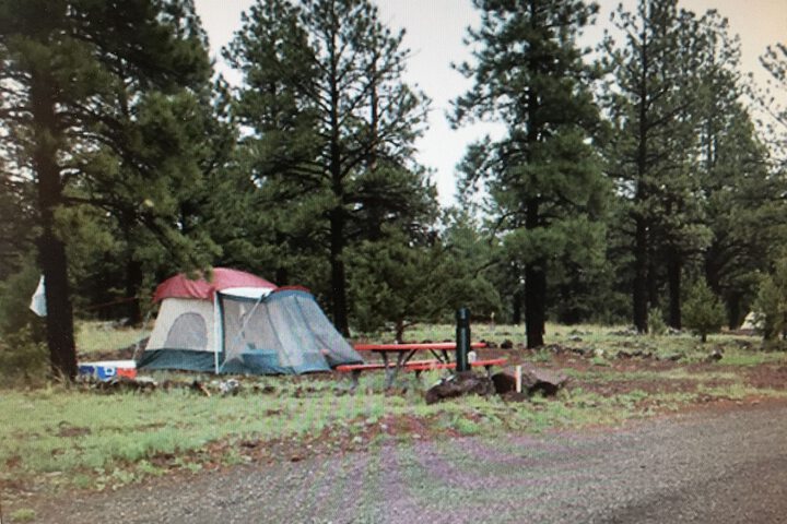 Property Grounds 44 of 81