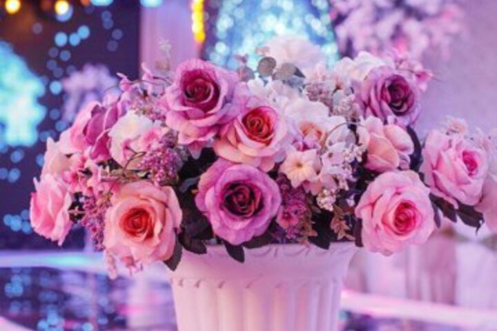 Spa and Wellness Pictures