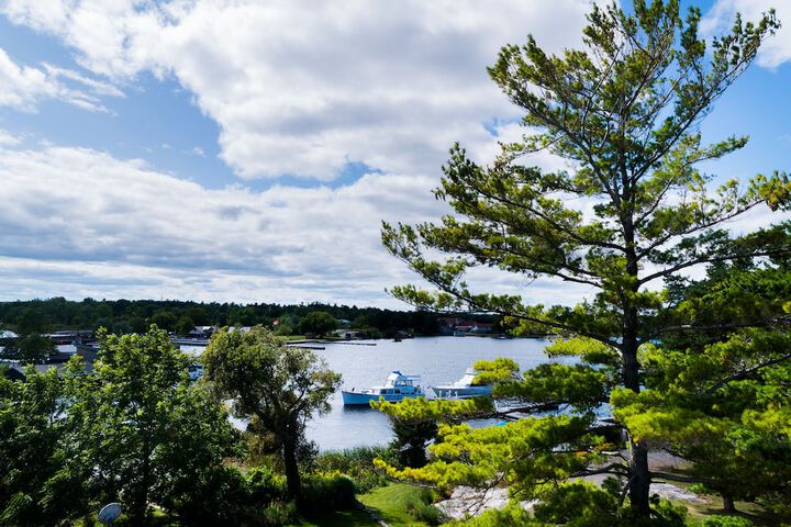 View from property