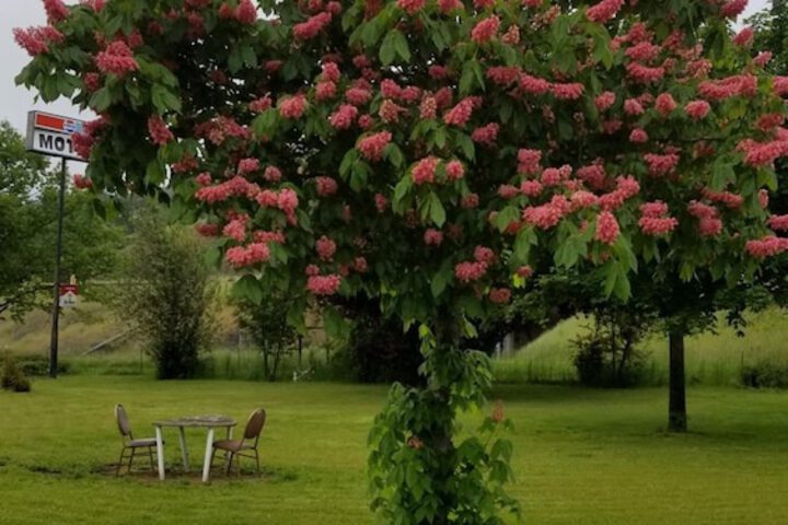 Property Grounds 25 of 30