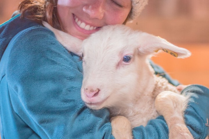 Childrens Activities 29 of 36