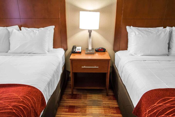2 Queen Beds (3 of 8)