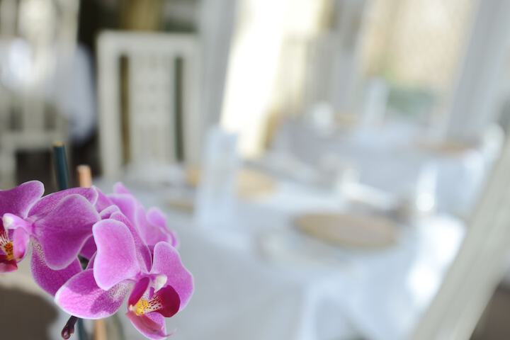 Dining 63 of 90