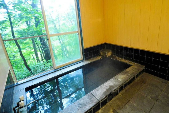 Wellness Treatments