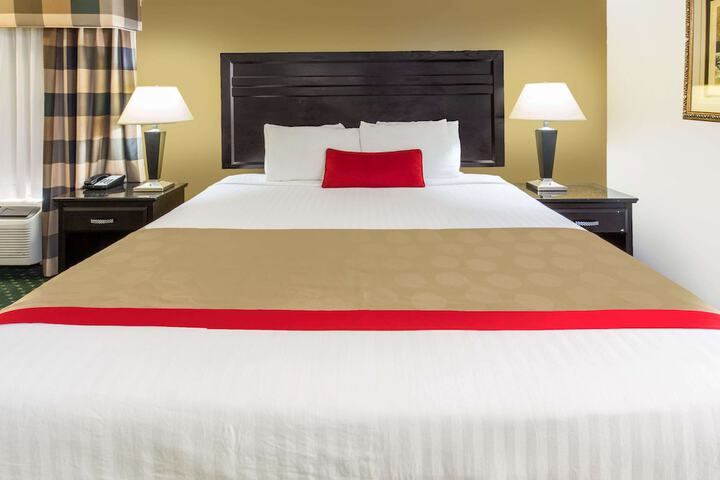 1 King Bed (8 of 26)