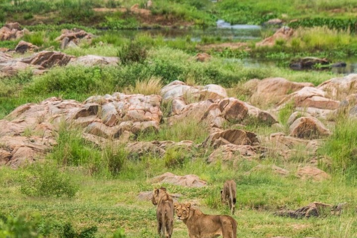 Property Grounds 45 of 60