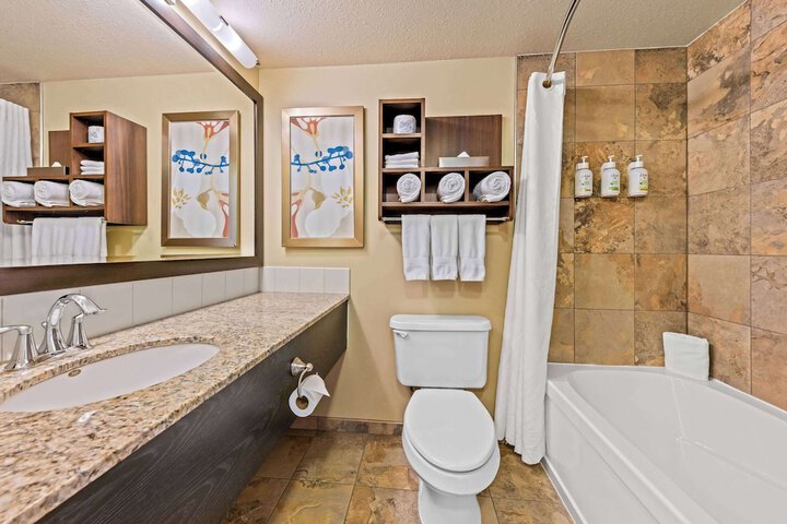 Bath Amenities