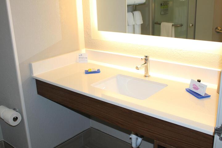 1 King Bed Standard Mobility Accessible Tub (13 of 15)