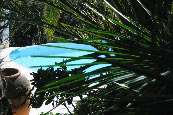 Pool to Cool