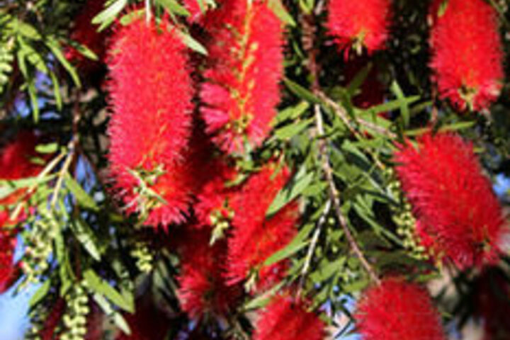 Property Grounds 94 of 111