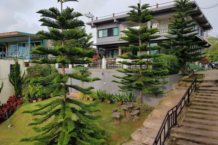 Tonkho at Home