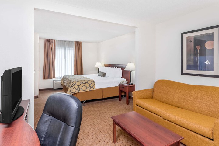 1 King Bed (3 of 8)