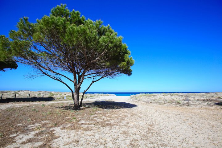Beach 41 of 48