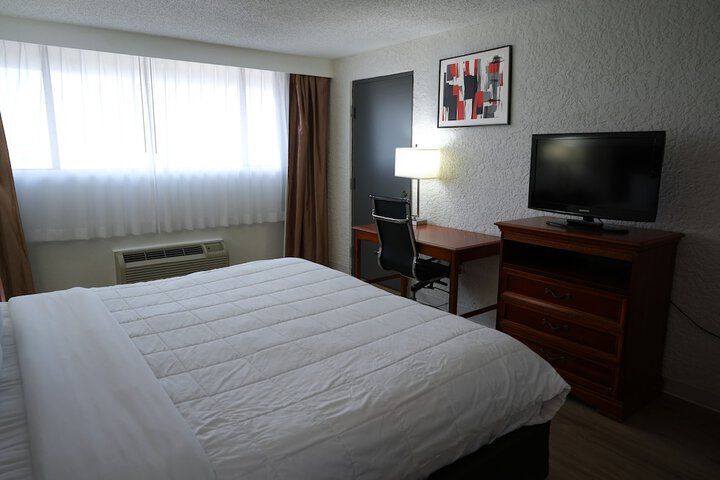 1 King Bed (1 of 14)