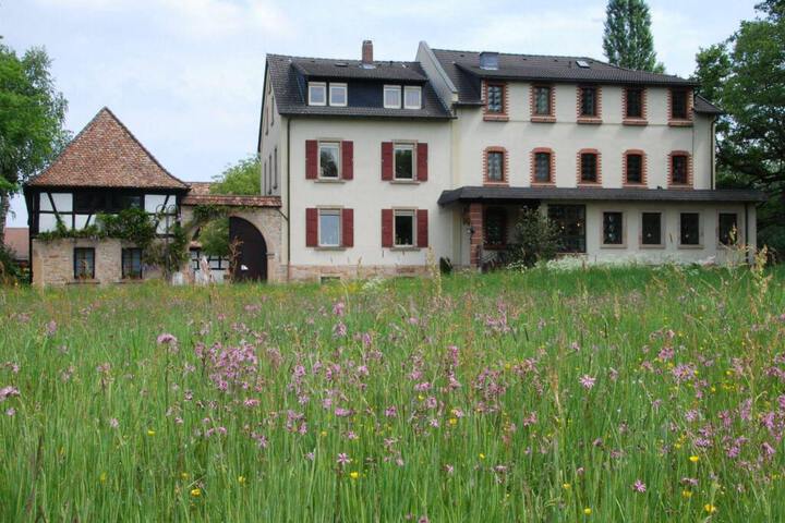 HOTEL SAEGMUEHLE