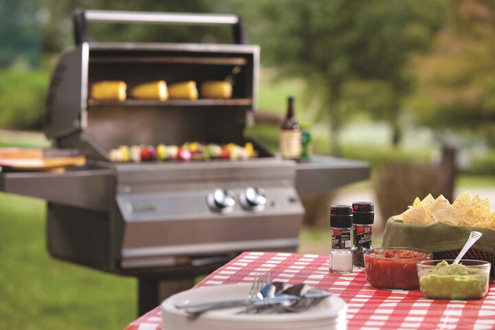 BBQ/picnic area