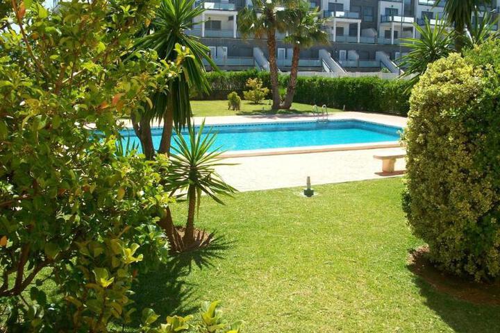 Photo 12