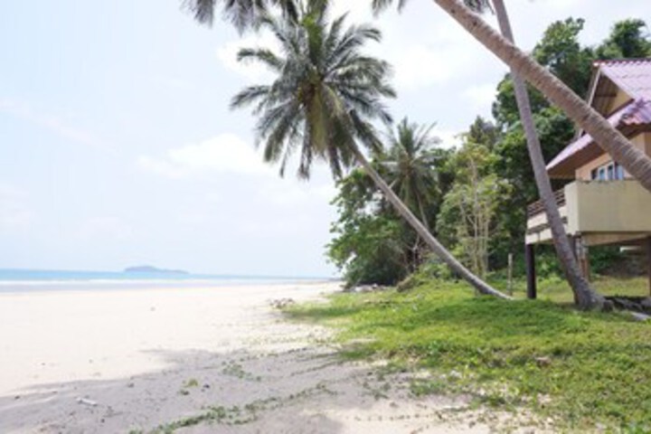 Beach 12 of 45