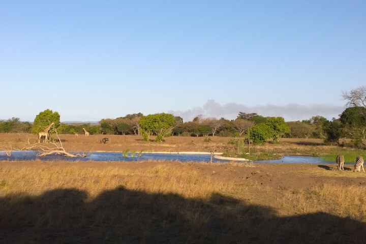 General 36 of 46