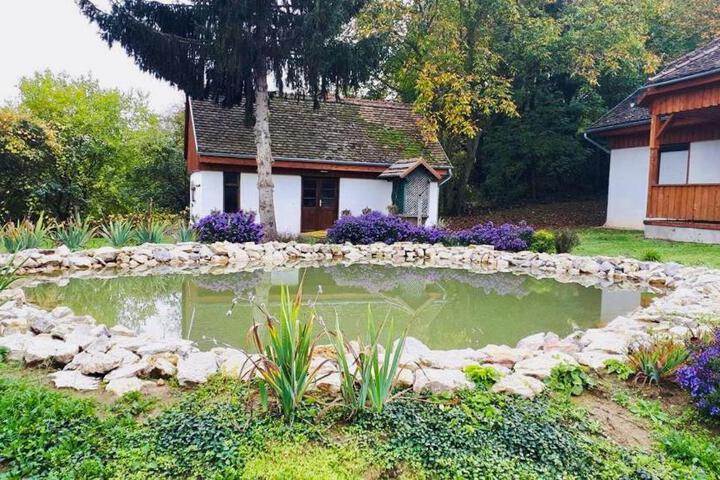 General 26 of 66