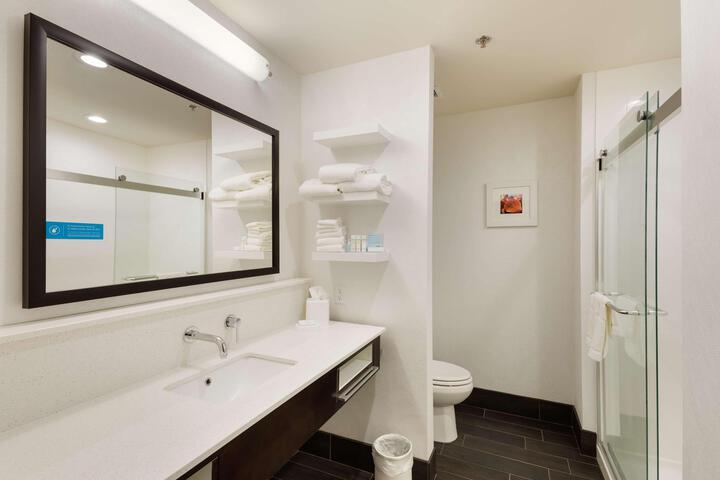 1 King Mobility Hearing Accessible Roll in Shower (1 of 10)