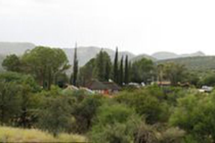 Vineyard Country
