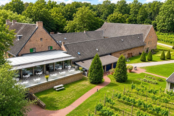 Vineyard