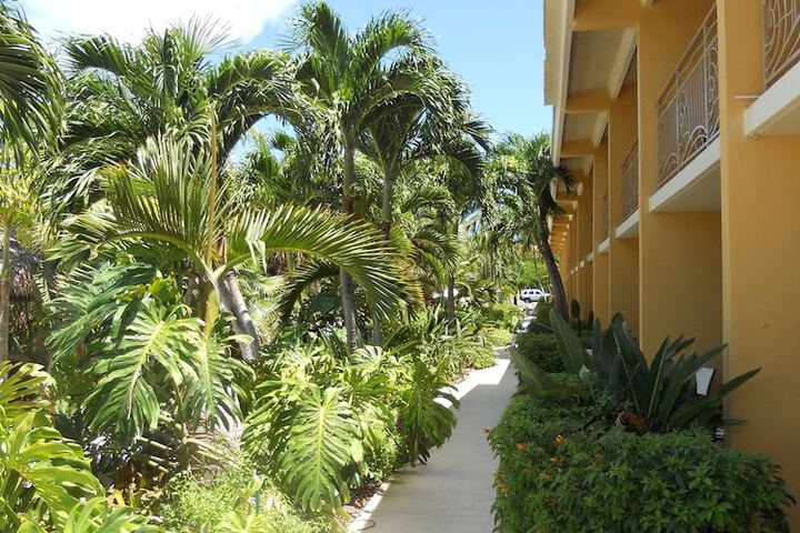 Hotel 46 of 56