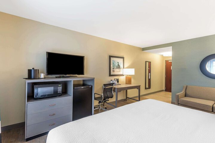1 King Bed Accessible (17 of 20)