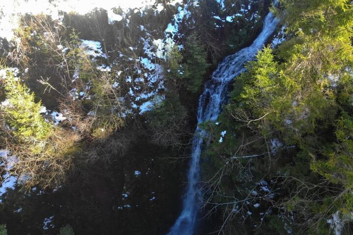 Property Grounds 41 of 62