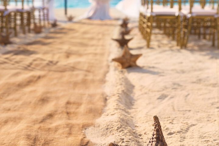 Wedding/Banquet 153 of 160