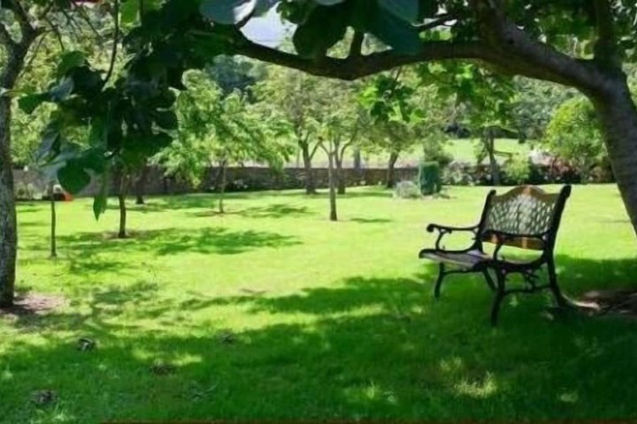 Property Grounds 20 of 61