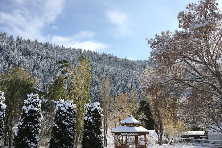 Gazebo