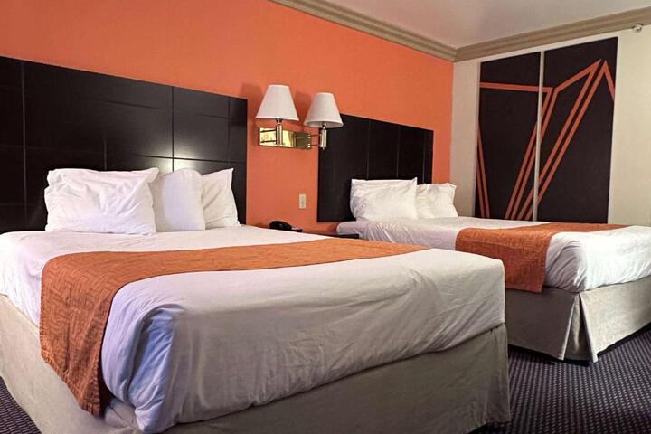 Standard Room, King or Two Doubles (2 of 6)