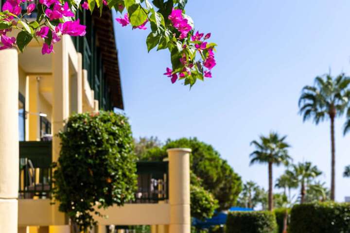 Hotel Exterior 530 of 552