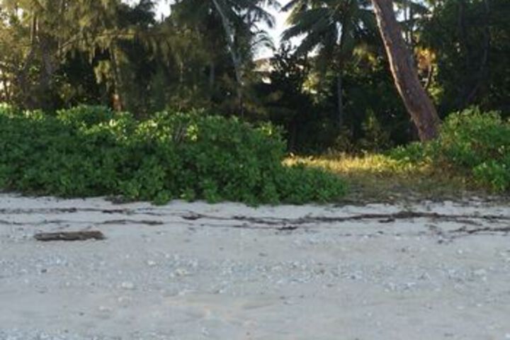 Beach 5 of 43