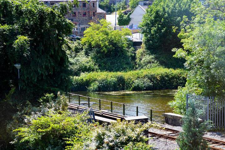 General 11 of 20