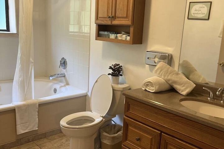 1 King Bed Jetted Tub (9 of 16)