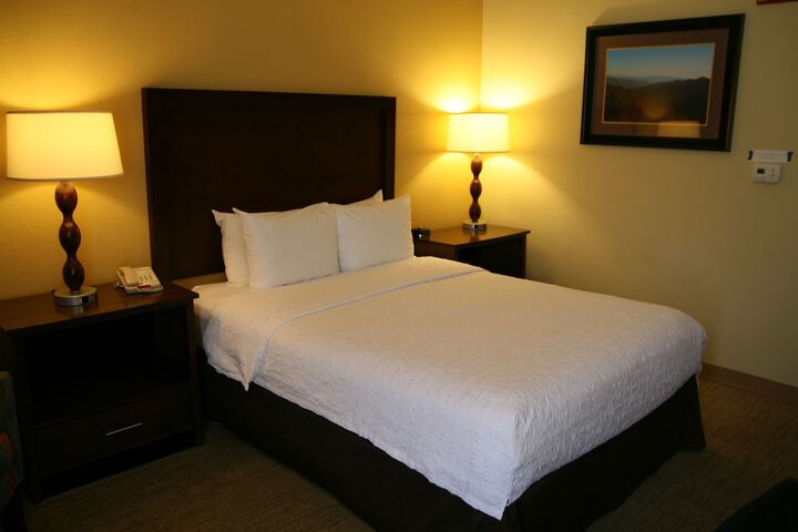 1 Queen Bed Accessible (15 of 18)