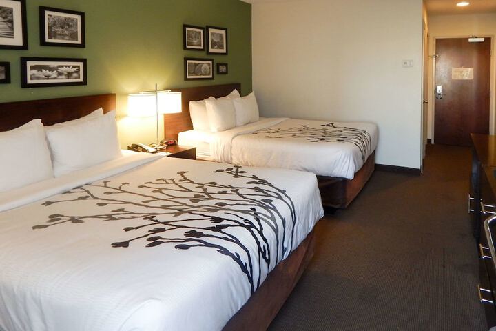 Room 15 of 46