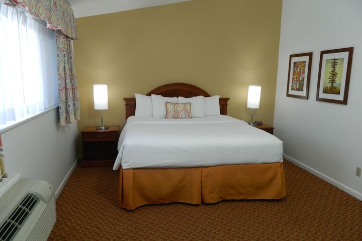 Suite 1 King Bed High Speed Internet Accessible Sofa Bed Refrigerator, Coffee Maker Full Breakfast (15 of 24)