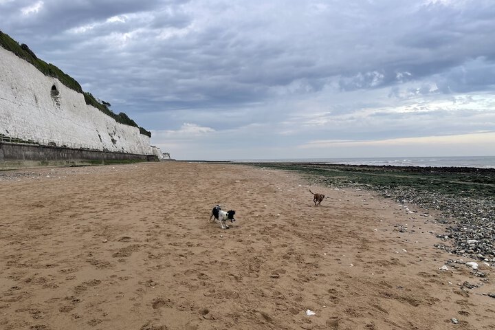 Beach 33 of 46